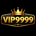 VIP9999 Game App